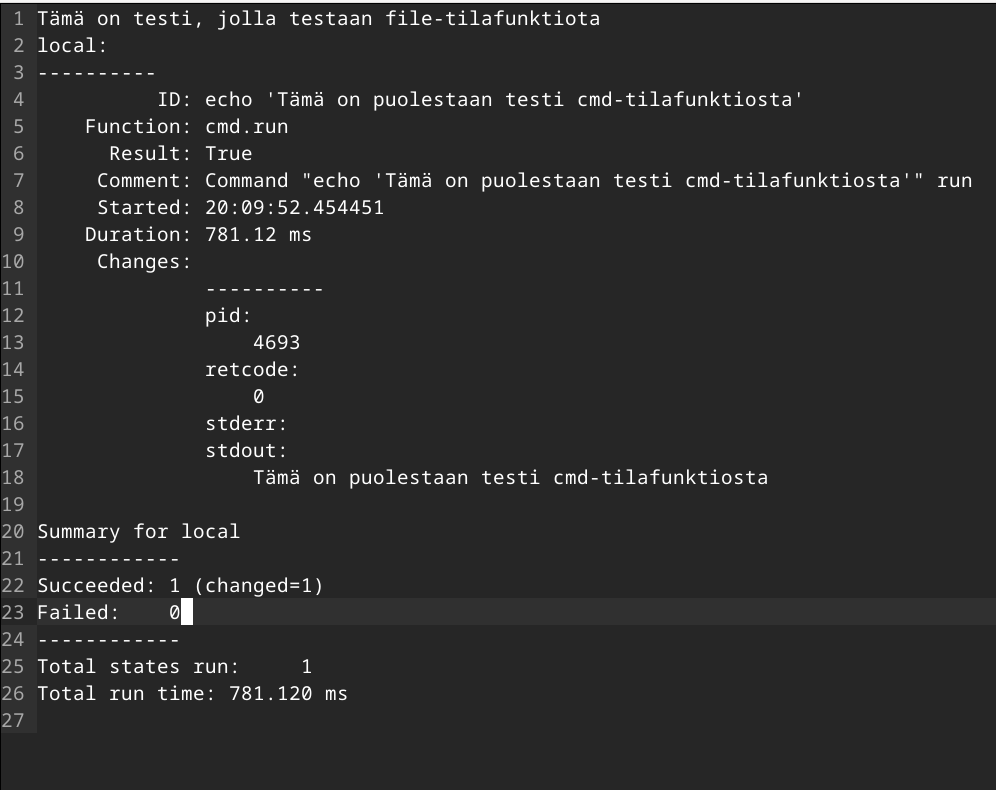 Kuva virheellisestä testi-tiedostosta micro-editorissa
