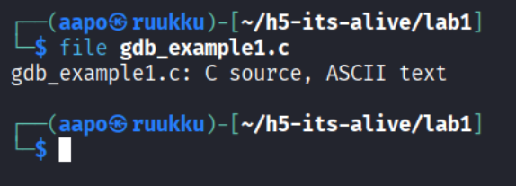 Lahdekoodi file tyokalulla