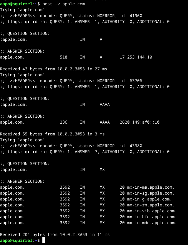 host-komento osoitteeseen apple.com