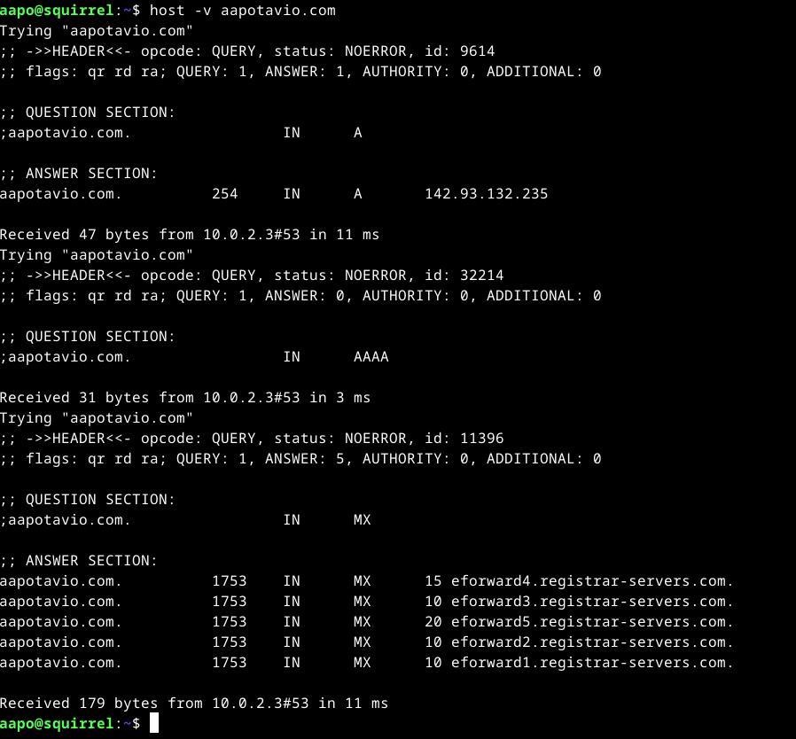 host-komento -v valinnalla osoitteeseen aapotavio.com